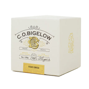 C.O. Bigelow Ficus Carica Candle