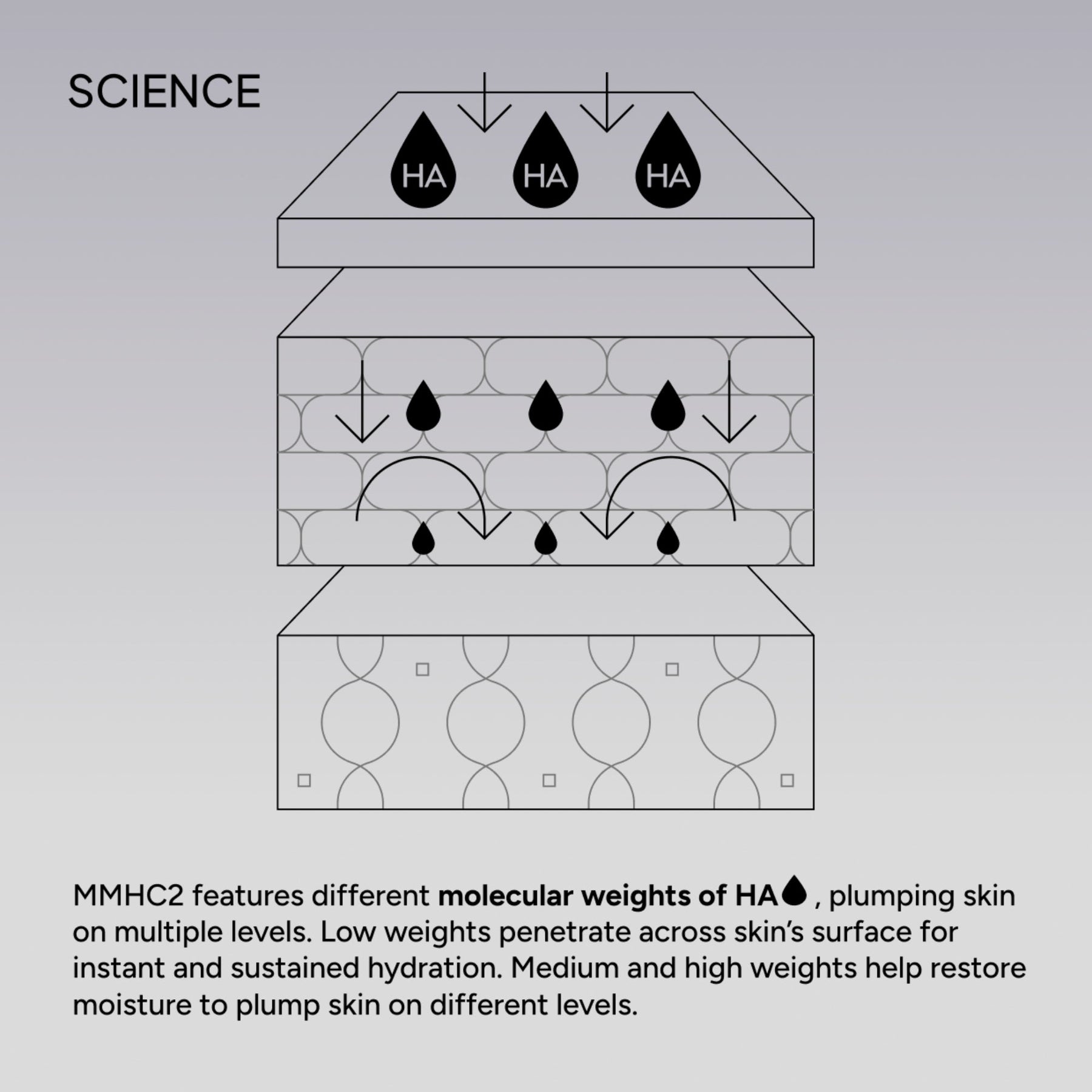 NIOD Multi Molecular Hyaluronic Complex MMHC2 - how it works